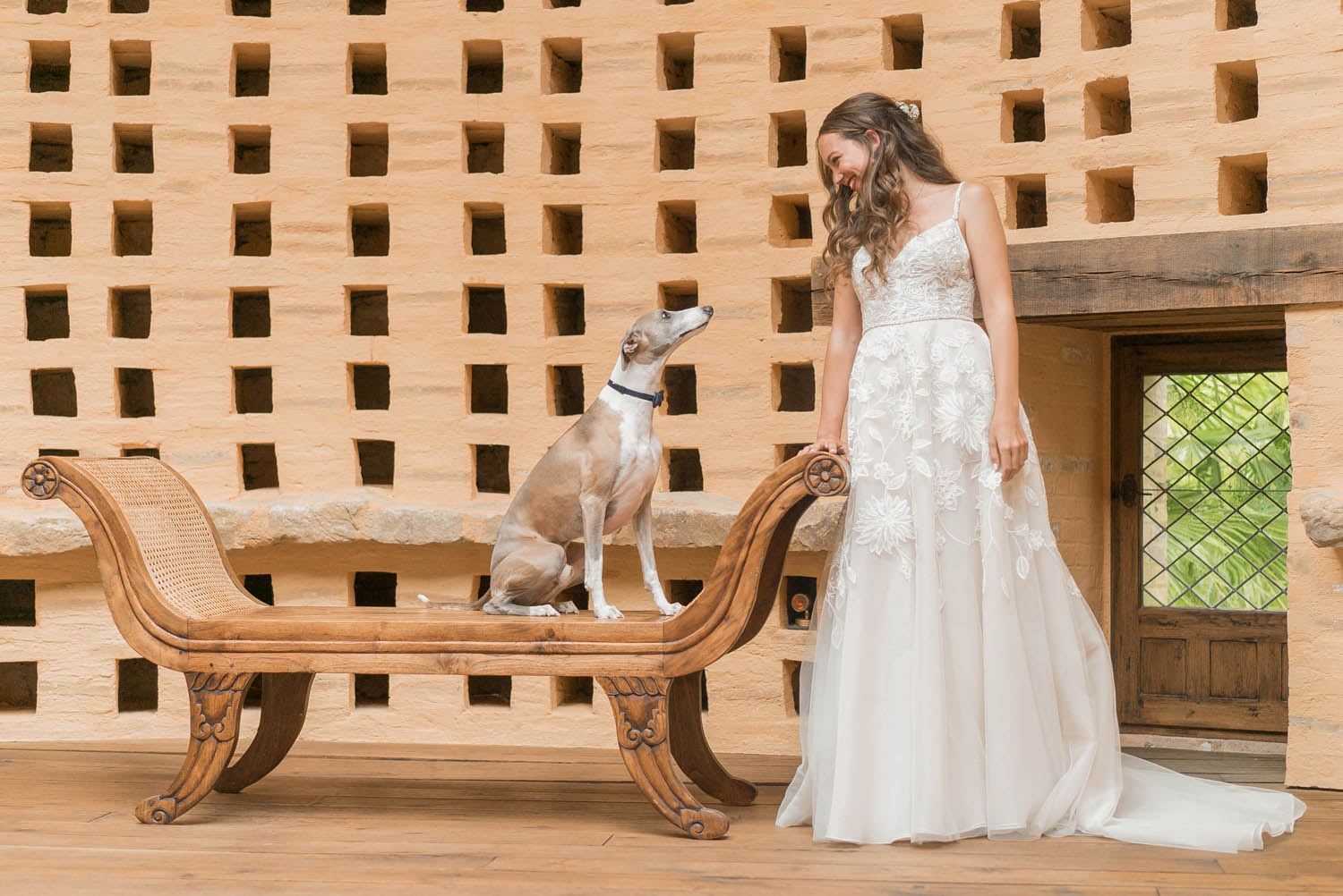 french wedding with bride and whippet